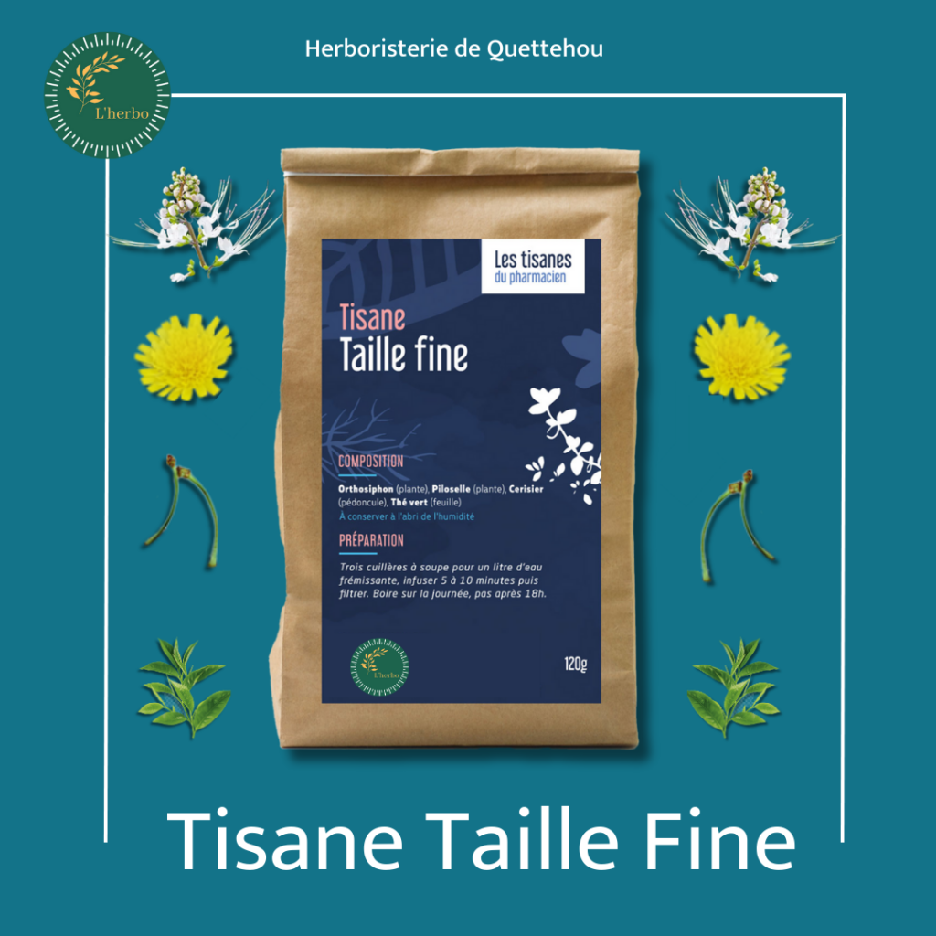 tisane taille fine, publication facebook et instagram