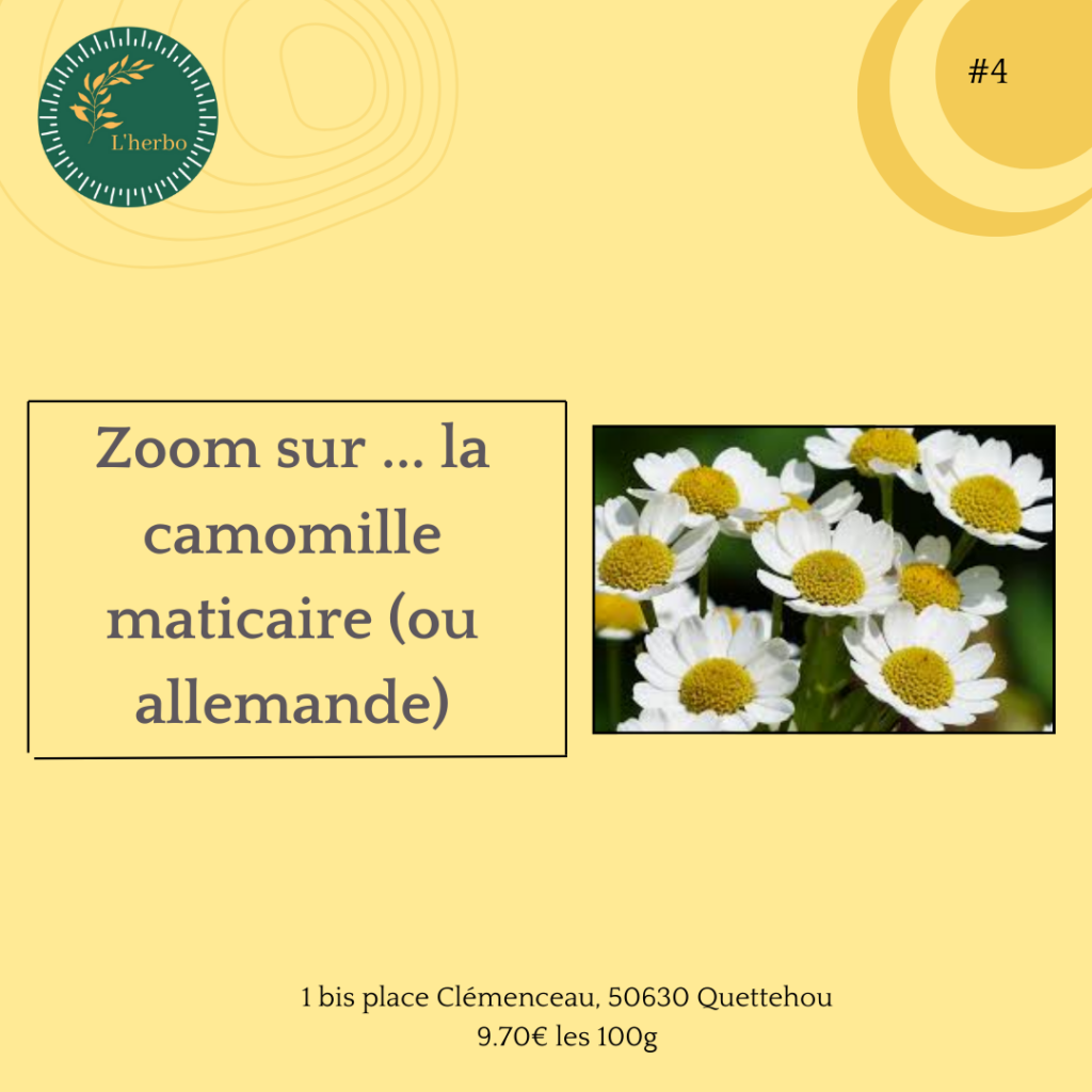 camomille matricaire plante vrac publication facebook et instagram