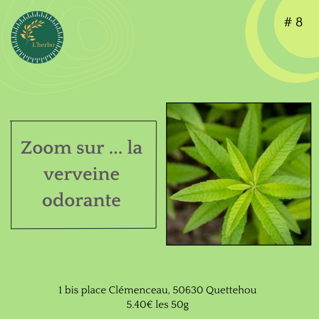 verveine odorante plante vrac publication facebook et instagram