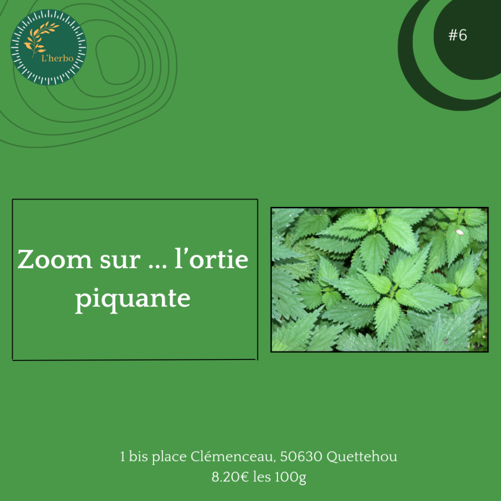 ortie piquante plante vrac, publication facebook et instagram