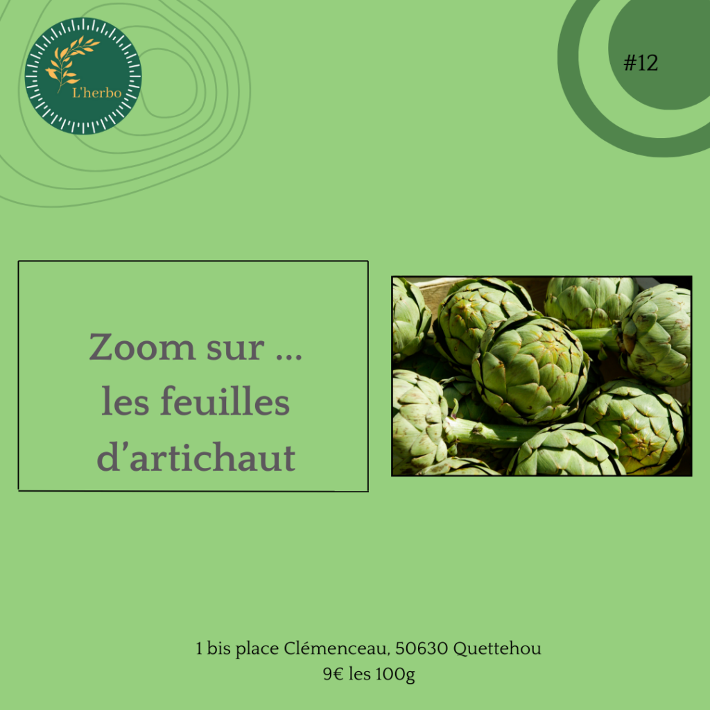 artichaut plante vrac publication facebook et instagram