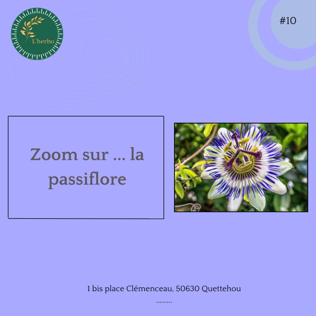 passiflore plante vrac publication facebook et instagram