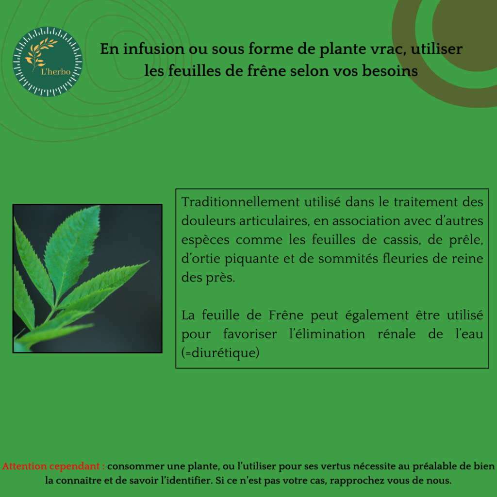 feuille de frêne plante vrac publication facebook et instagram