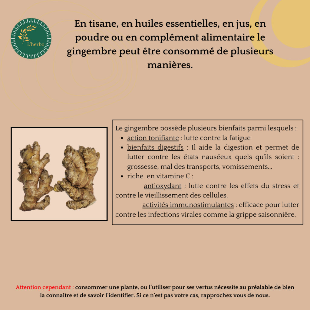 gingembre plante vrac, publication facebook et instagram