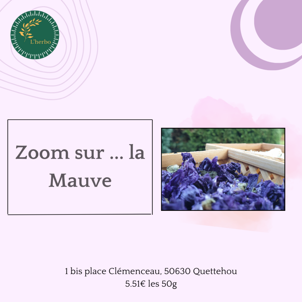 Mauve plante vrac, pubilcation facebook et instagram