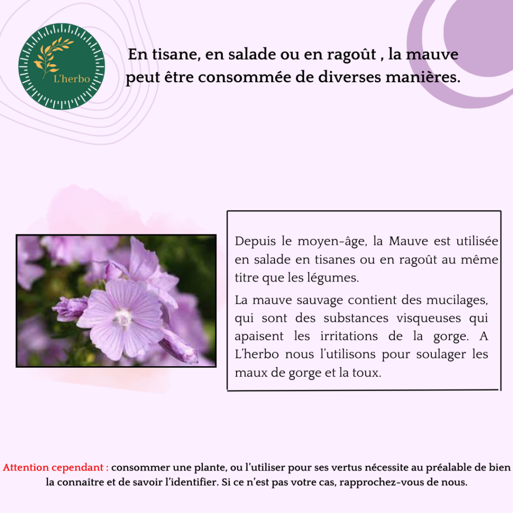 mauve plante vrac, publication facebook et instagram