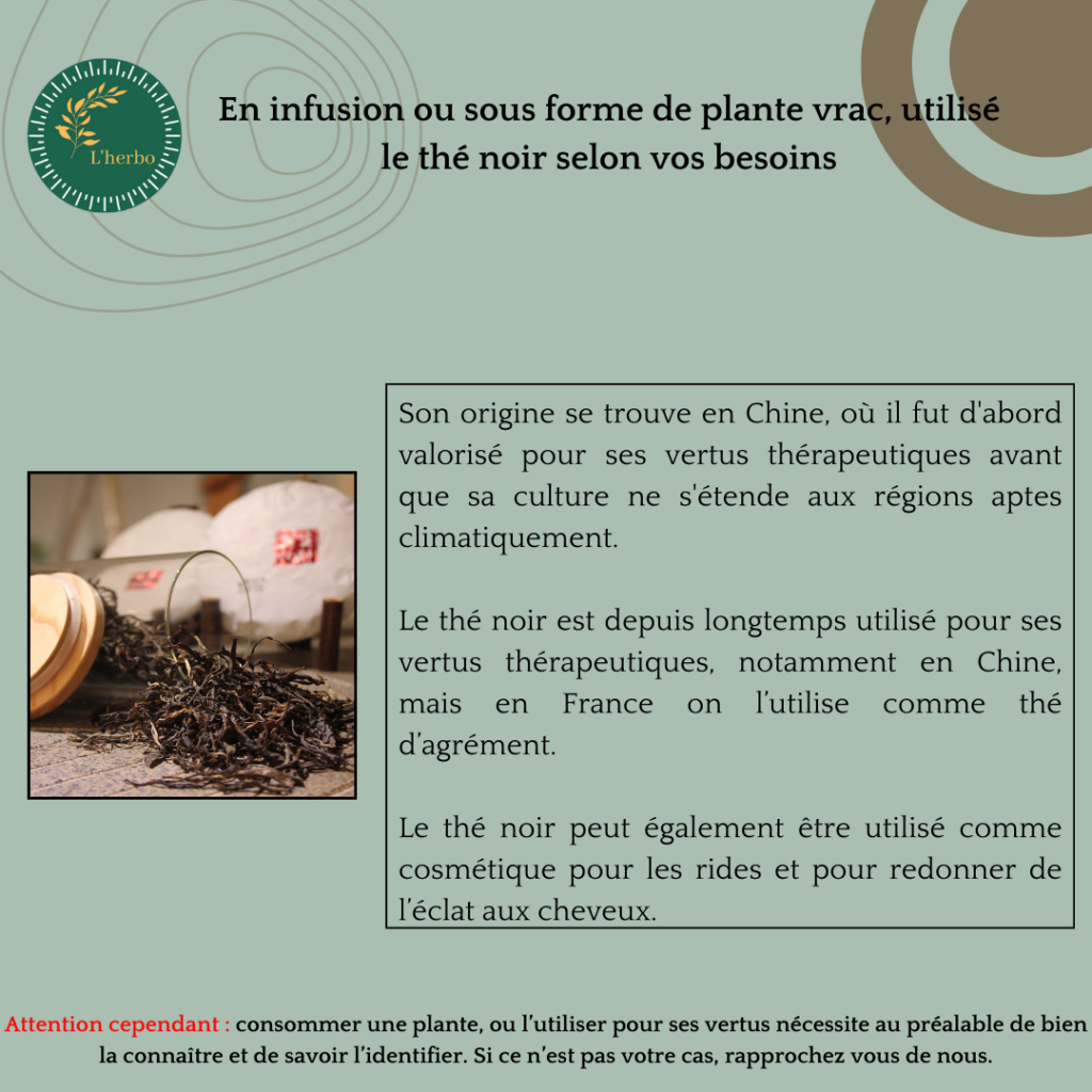 thé noir plante vrac publication facebook et instagram