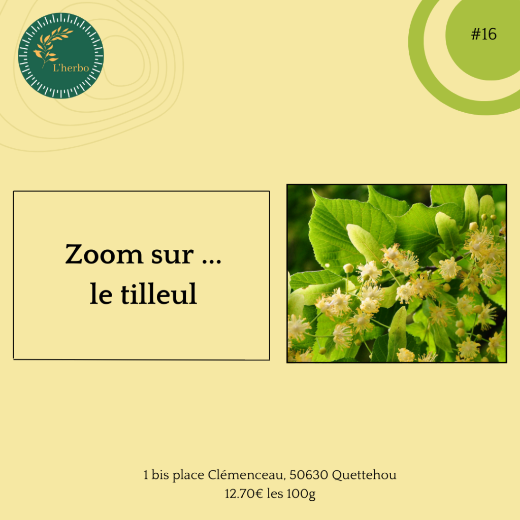 tilleul plante vrac publication facebook et instagram