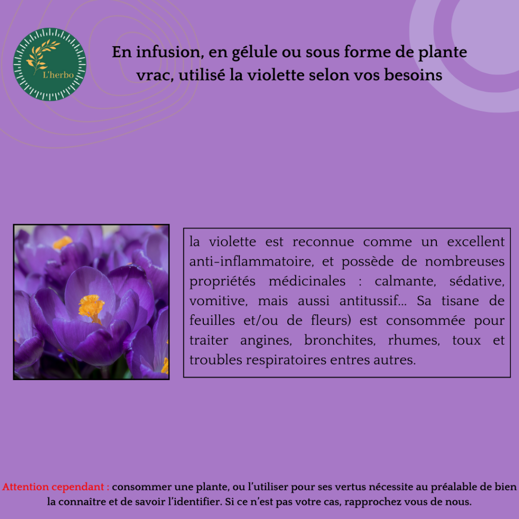 violette plante vrac publication facebook et instagram 