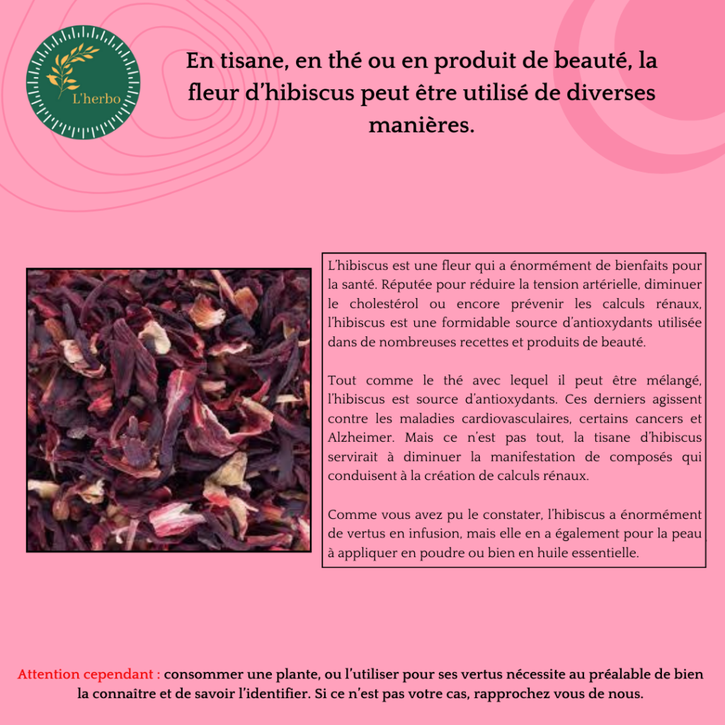 hibiscus plante vrac, publication facebook et instagram