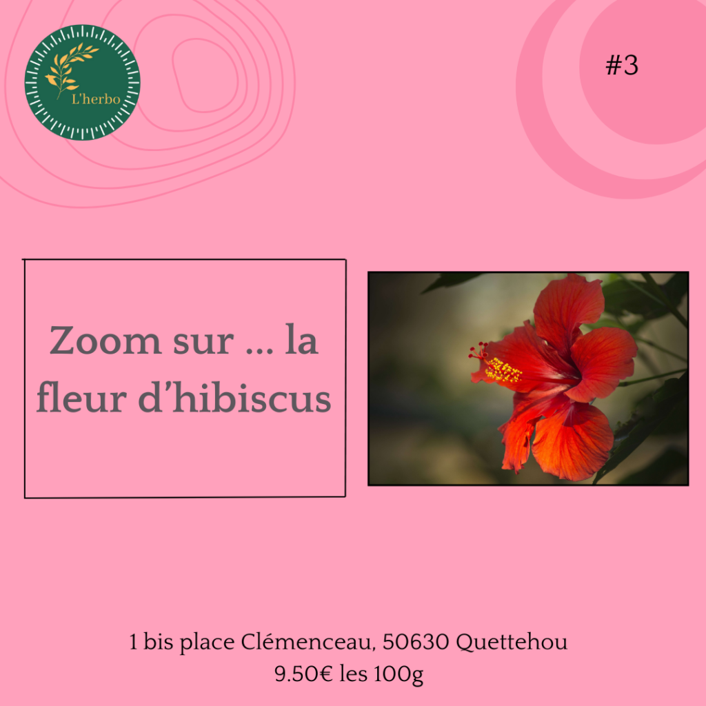 hibiscus plante vrac, publication facebook et instagram