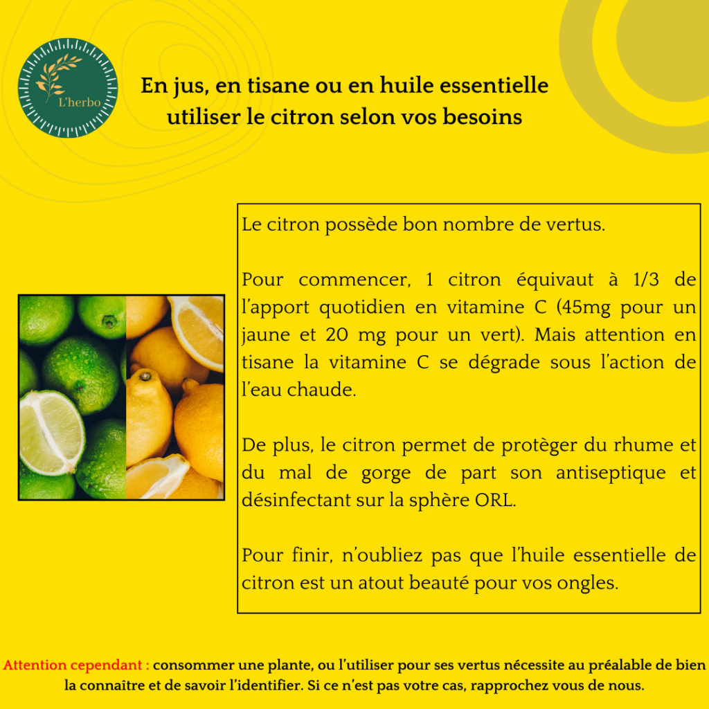 citron plante vrac publication facebook et instgram