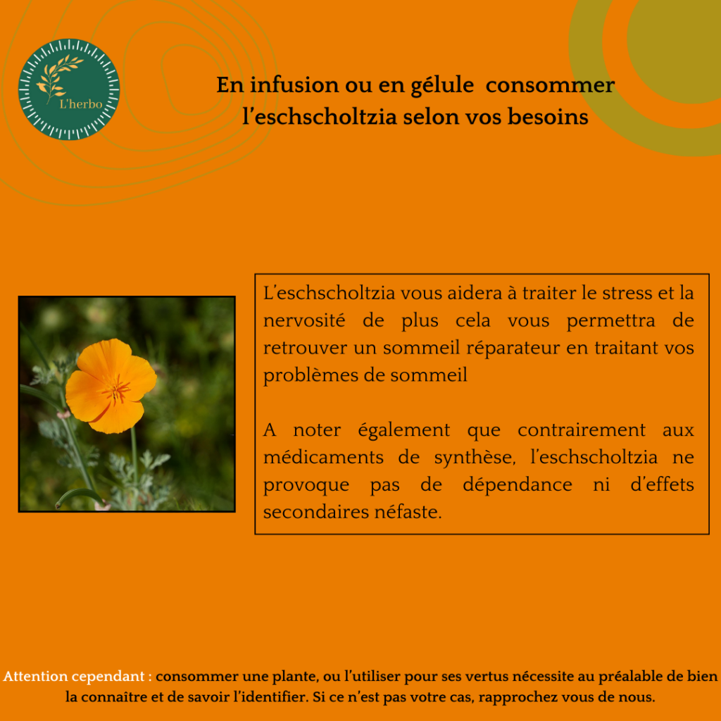 eschscholtzia plante vrac publication facebook et instagram 