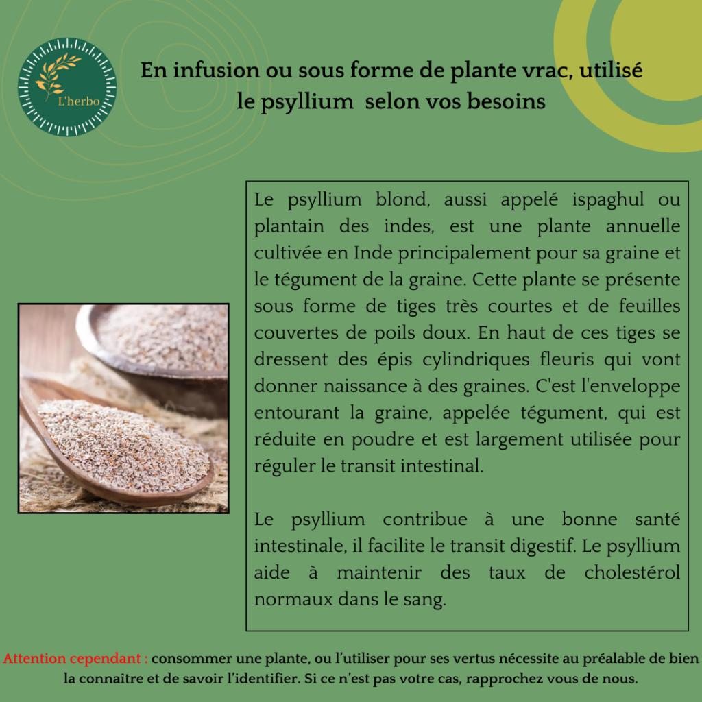 psyllium plante vrac, publication facebook et instagram