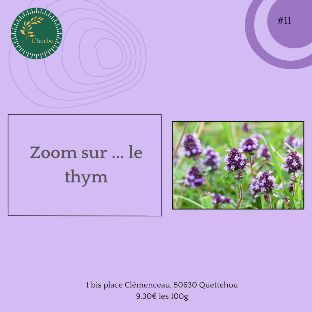 thym plante vrac publication facebook et instagram