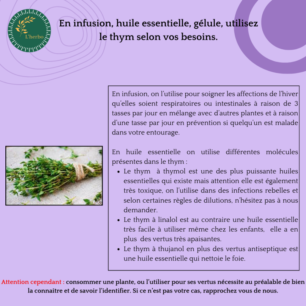 thym plante vrac publication facebook et instagram